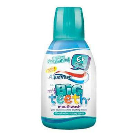 Bain de bouche Big Teeth à la menthe, 300 ml, Aquafresh