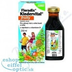 SALUS Floradix Floradix Kindervital afrutado 1×250 ml, jarabe de hierbas