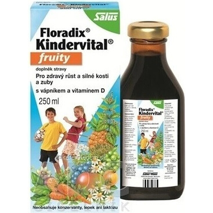 SALUS Floradix Floradix Kindervital afrutado 1×250 ml, jarabe de hierbas