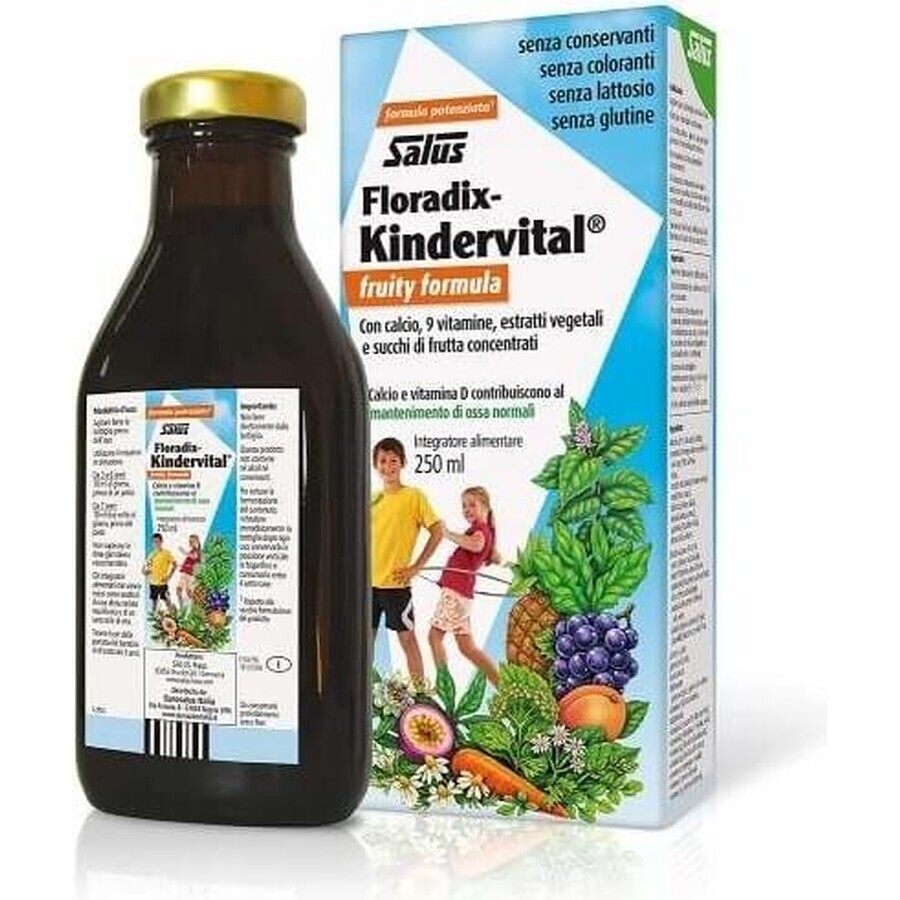 SALUS Floradix Floradix Kindervital afrutado 1×250 ml, jarabe de hierbas