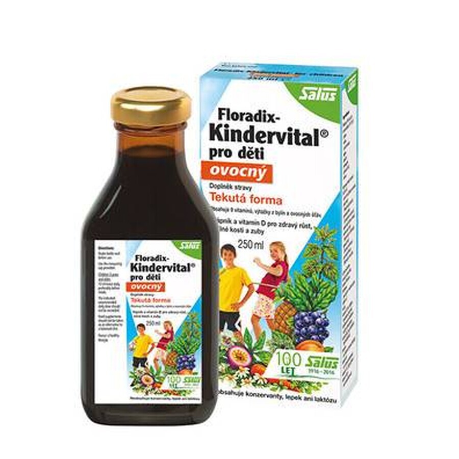 SALUS Floradix Floradix Kindervital afrutado 1×250 ml, jarabe de hierbas