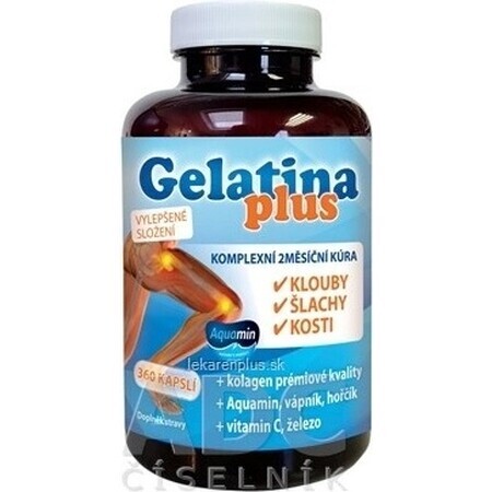 TEREZIA Gelatina Plus 1×360 cps, nutrición articular