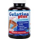 TEREZIA Gelatina Plus 1×360 cps, nutrición articular