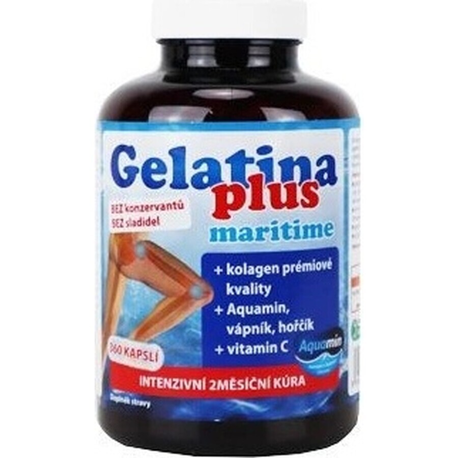 TEREZIA Gelatina Plus 1×360 cps, nutrición articular