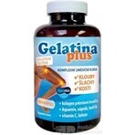 TEREZIA Gelatina Plus 1×360 cps, nutrición articular