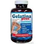 TEREZIA Gelatina Plus 1×360 cps, nutrición articular