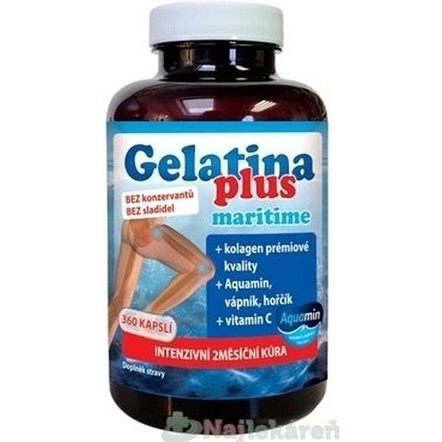 TEREZIA Gelatina Plus 1×360 cps, nutrición articular