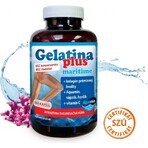 TEREZIA Gelatina Plus 1×360 cps, nutrición articular