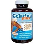 TEREZIA Gelatina Plus 1×360 cps, nutrición articular