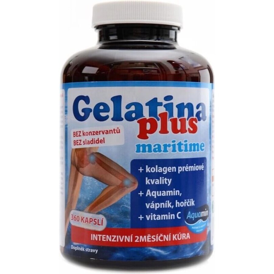 TEREZIA Gelatina Plus 1×360 cps, nutrición articular