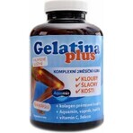 TEREZIA Gelatina Plus 1×360 cps, nutrición articular