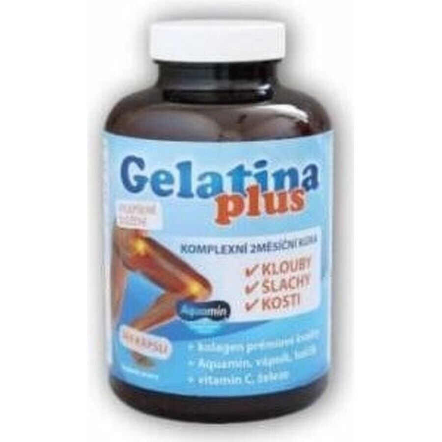 TEREZIA Gelatina Plus 1×360 cps, nutrición articular