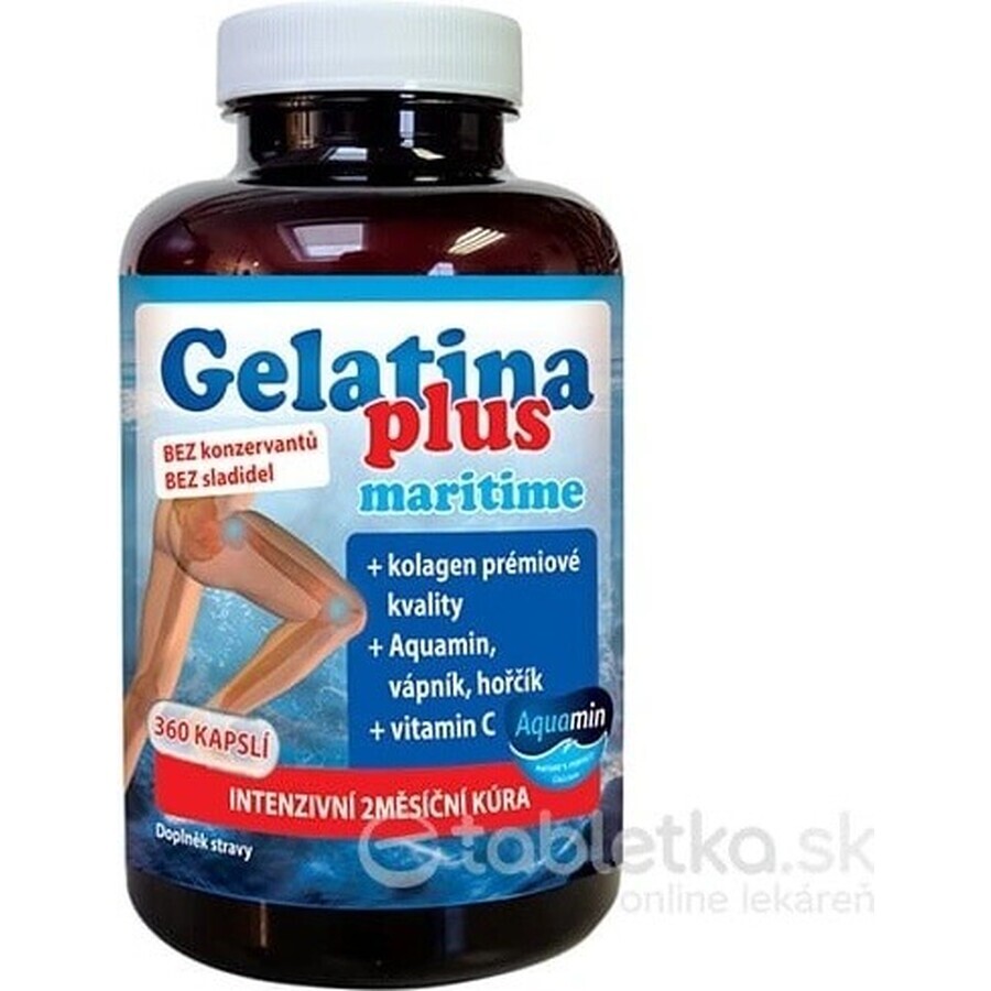 TEREZIA Gelatina Plus 1×360 cps, nutrición articular