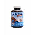 TEREZIA Gelatina Plus 1×360 cps, nutrición articular