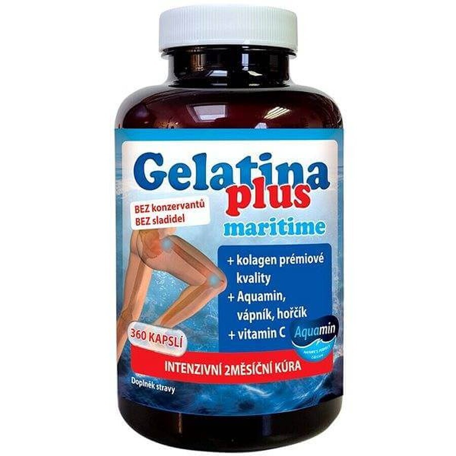 TEREZIA Gelatina Plus 1×360 cps, nutrición articular