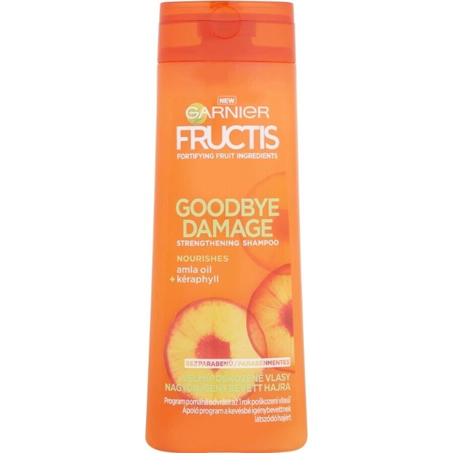 Garnier Fructis Goodbye Damage Shampoo 1×400 ml, shampoo