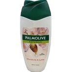 Palmolive Naturals Amandelmelk 2in1 Douchegel 1×250ml 1×250ml met verzachtende melk