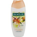 Palmolive Naturals Amandelmelk 2in1 Douchegel 1×250ml 1×250ml met verzachtende melk