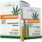 Cannaderm CANNADENT regenererend serum 1×5 ml, regenererend serum