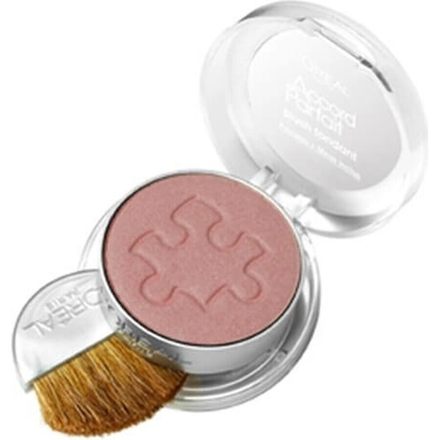 L'Oréal Paris True Match Le Blush 120 1×5 g, fard