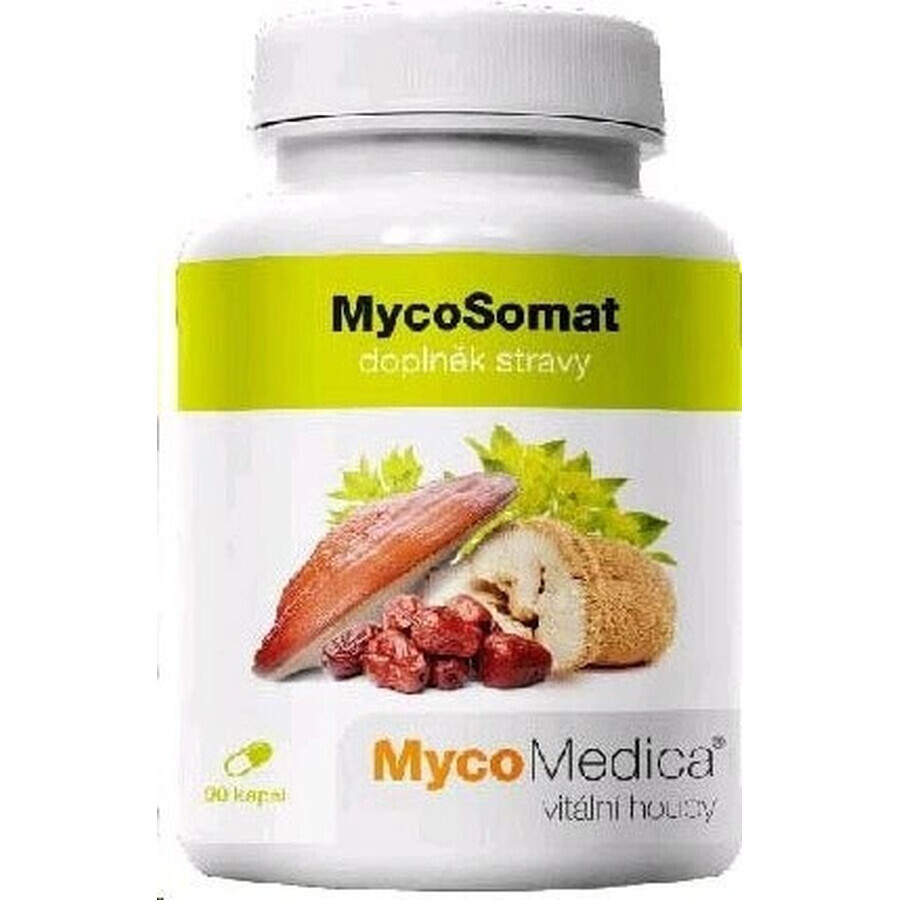 Mycomedica Mycosomat Vegano 500mg 90cps 1×90 cps