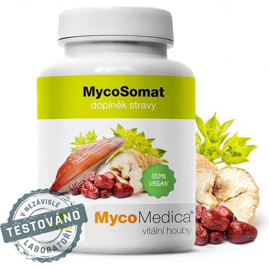 Mycomedica Mycosomat Vegano 500mg 90cps 1×90 cps