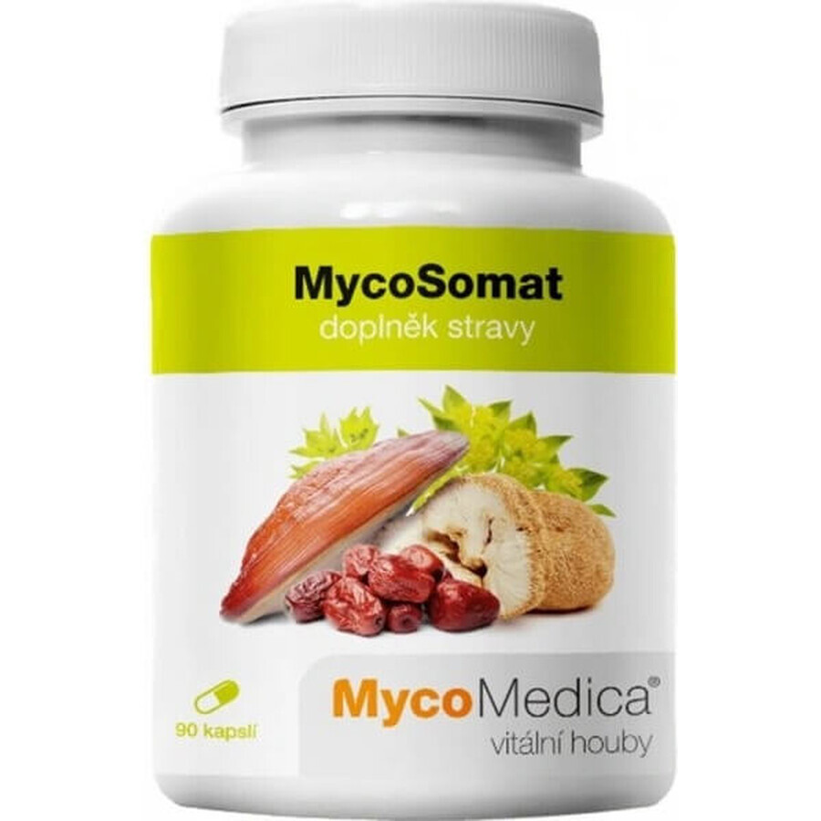 Mycomedica Mycosomat Vegano 500mg 90cps 1×90 cps