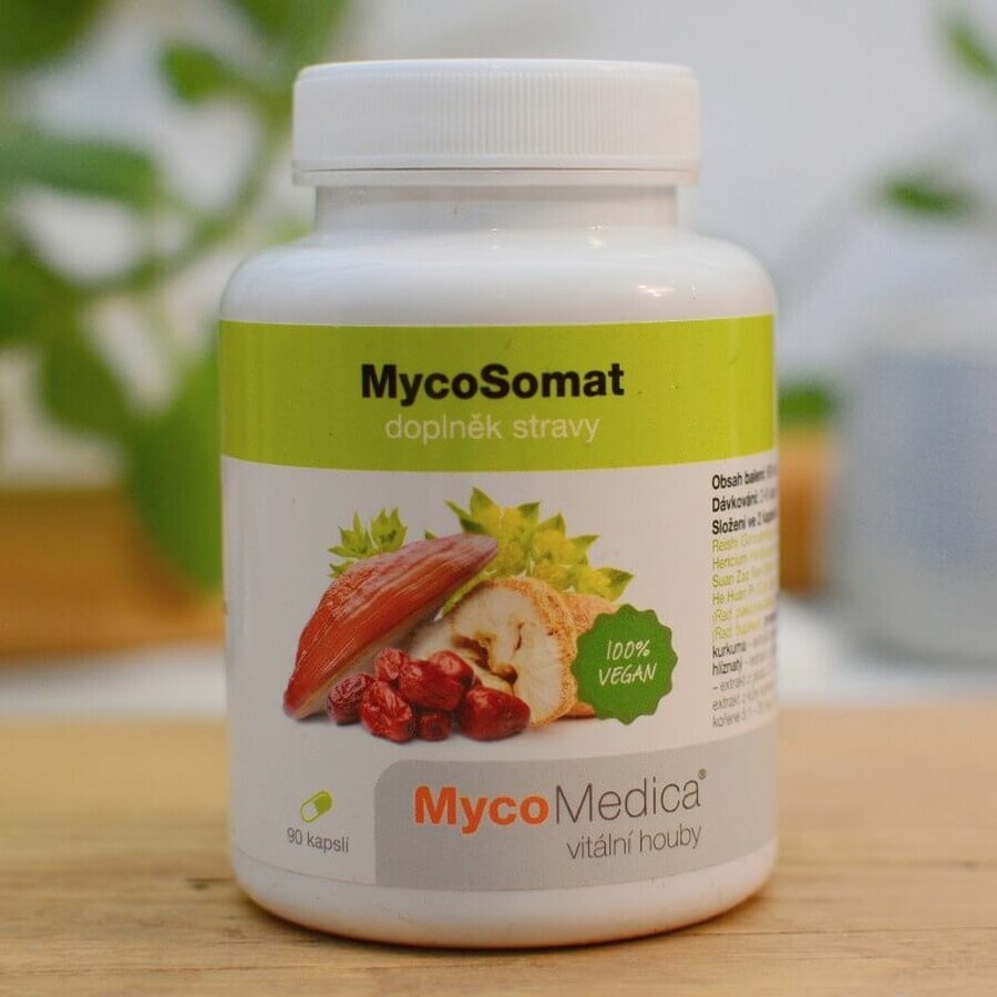 Mycomedica Mycosomat Vegano 500mg 90cps 1×90 cps