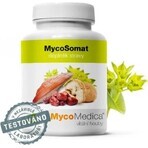 Mycomedica Mycosomat Vegano 500mg 90cps 1×90 cps