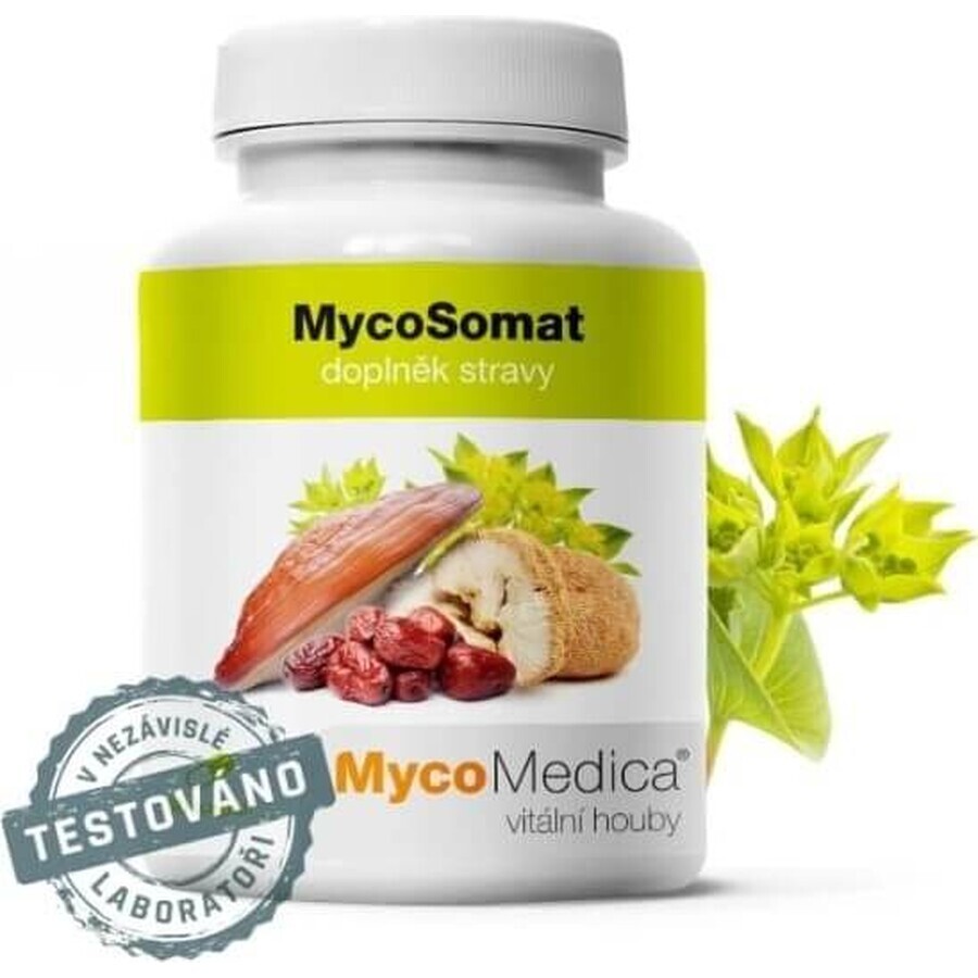 Mycomedica Mycosomat Vegano 500mg 90cps 1×90 cps