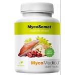 Mycomedica Mycosomat Vegano 500mg 90cps 1×90 cps