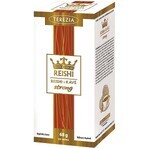 TEREZIA REISHI AU CAFÉ fort 20×3,4 g, sachet