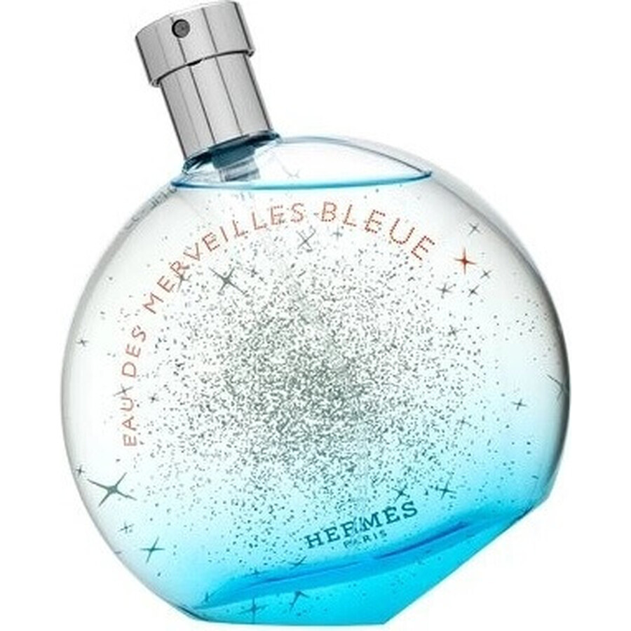 Hermes Eau Des Merveilles Bleue Eau Des Merveilles Edt 100ml 1×100 ml, eau de toilette