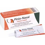 Pinio-Nasal neuszalf 1×10 g, neuszalf