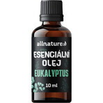 Allnature Eucalyptus etherische olie 1×10 ml, etherische olie