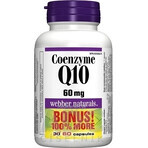 WEBBER NATURALS Co-enzym Q10 60 mg 1×60 cps, voedingssupplement