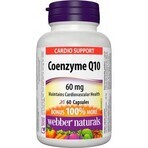 WEBBER NATURALS Co-enzym Q10 60 mg 1×60 cps, voedingssupplement