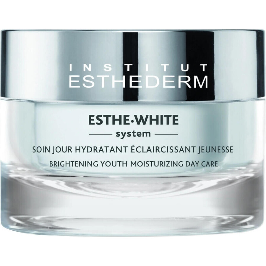 Institut Esthederm Institut Esthederm White Brightening Youth Moisturising Day Care 50 ml 1×50 ml, crema da giorno