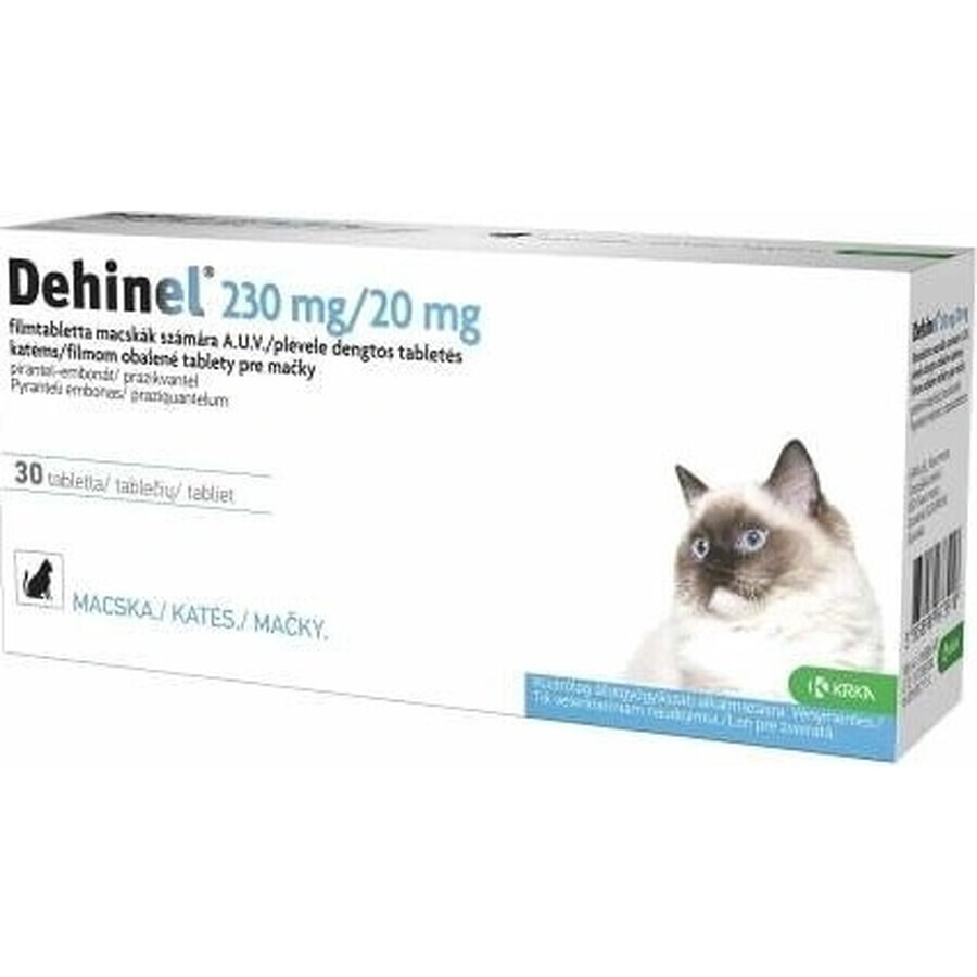 DEHINEL 230 mg/20 mg voor katten 1×30 tbl, geneesmiddel