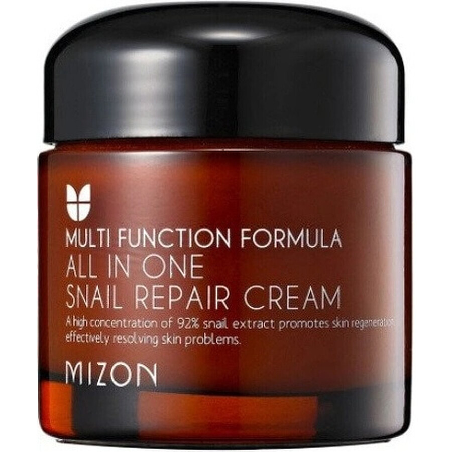 Mizon All In One Snail Repair Cream 75 ml 1×75 ml