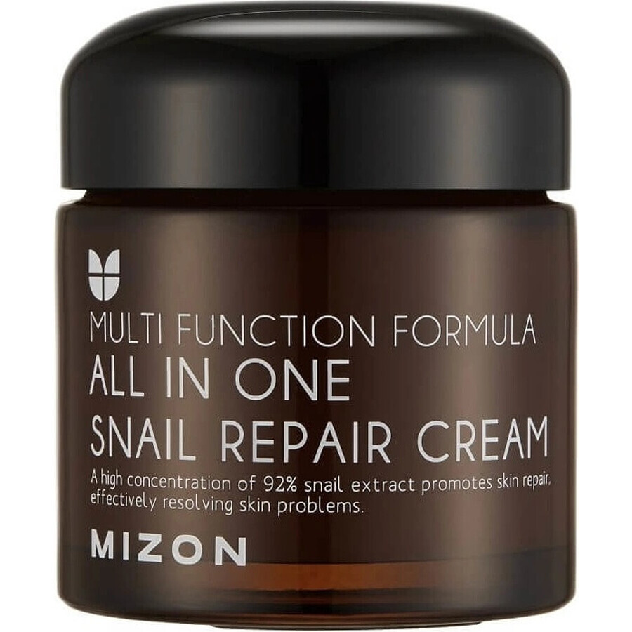 Mizon All In One Snail Repair Cream 75 ml 1×75 ml