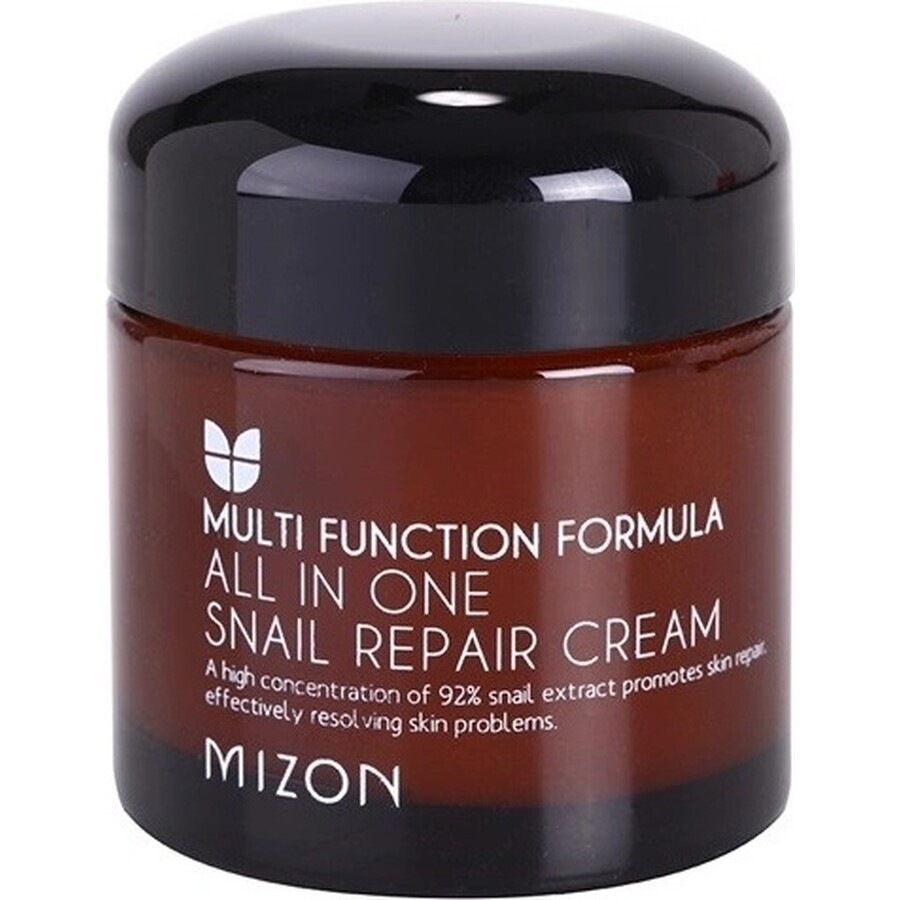 Mizon All In One Snail Repair Cream 75 ml 1×75 ml