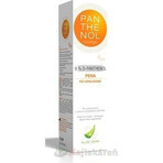 PANTHENOL Omega 9% ALOE VERA 1×150 ml, spumă