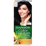 Garnier Color Naturals permanente Haarfarbe 1+ Ultra Black 1×1 Stück, Haarfarbe