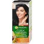 Garnier Color Naturals permanente Haarfarbe 1+ Ultra Black 1×1 Stück, Haarfarbe