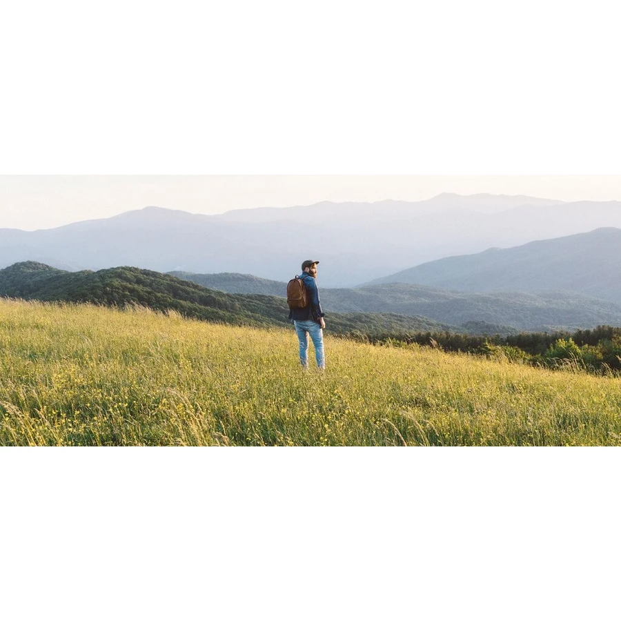 Immunoglucan P4H 100 mg 1×40 cps, food supplement
