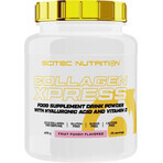 Scitec Nutrition Collagen Xpress Pineapple 1×475 g, Nahrungsergänzungsmittel