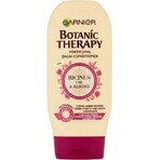 Garnier BOTANIC THERAPY OLIO DI RICINO 1×200 ml, balsamo per capelli