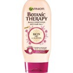 Garnier BOTANIC THERAPY OLIO DI RICINO 1×200 ml, balsamo per capelli