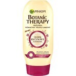 Garnier BOTANIC THERAPY OLIO DI RICINO 1×200 ml, balsamo per capelli